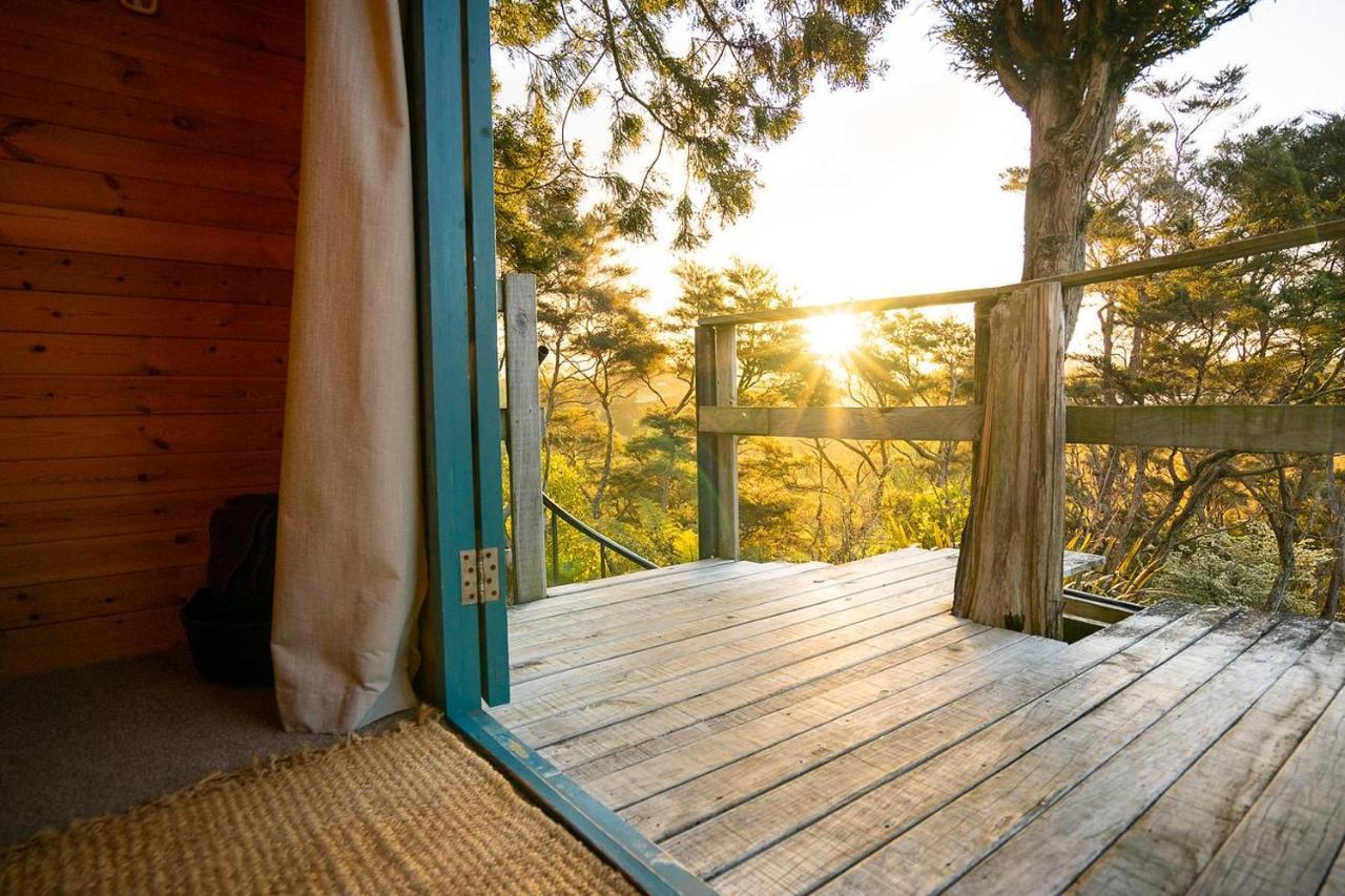 Tui Ridge Eco Cabins Aongatete Экстерьер фото