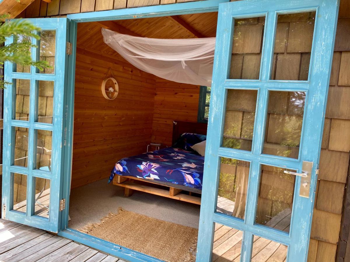 Tui Ridge Eco Cabins Aongatete Экстерьер фото